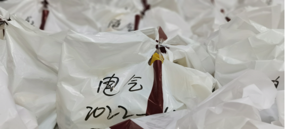 主播福利