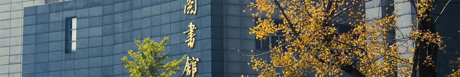 主播福利banner