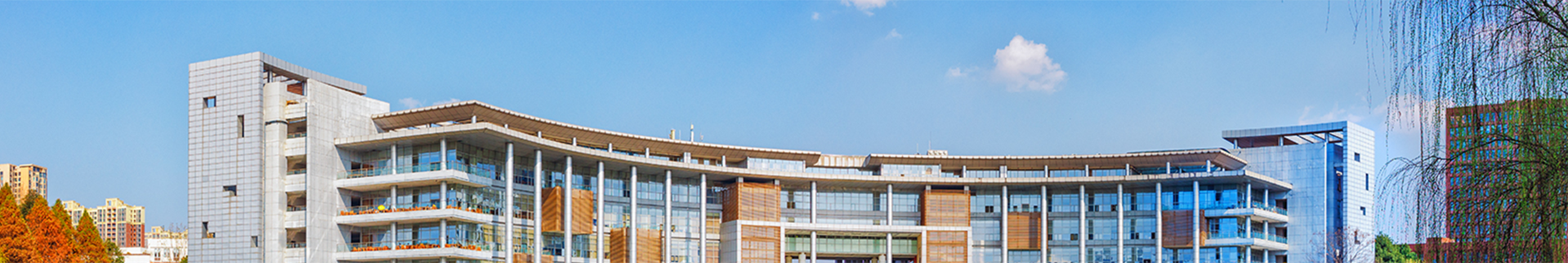 主播福利banner