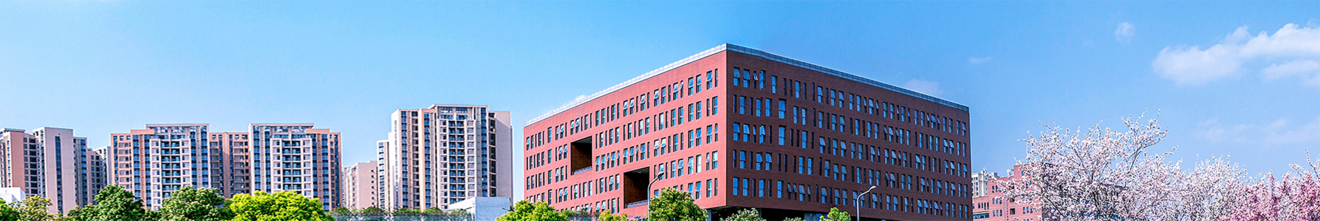 主播福利banner